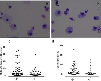 Macrophage Phagocytosis and Allergen Avoidance in Children With Asthma